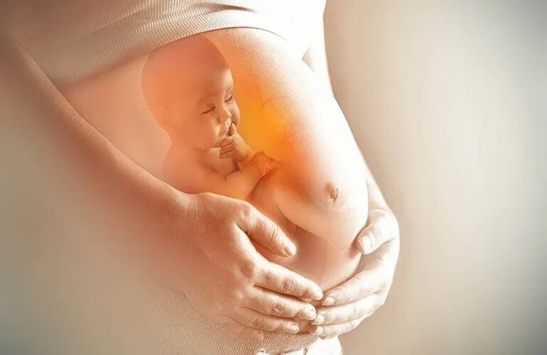 What are the Criteria for IVF Success Rate