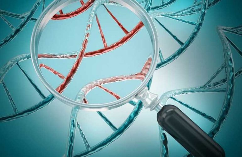 preimplantation genetic testing