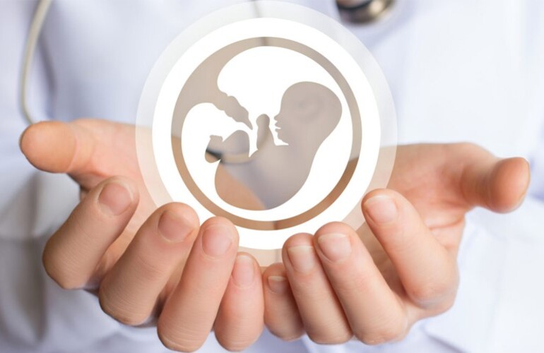 IVF