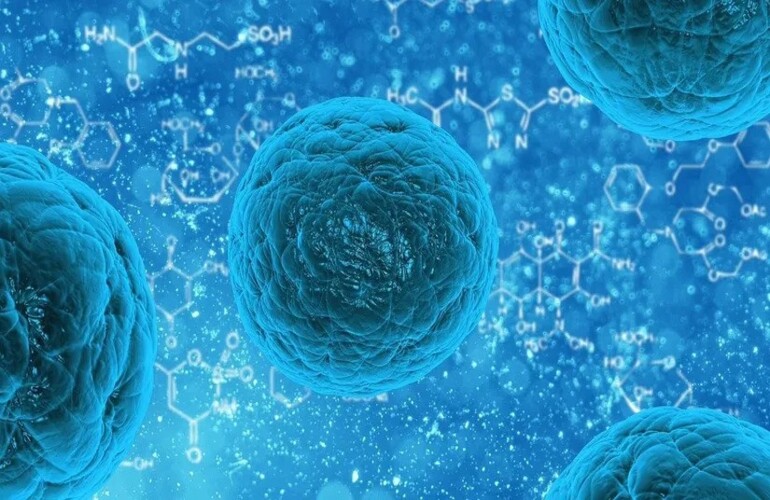 How Does Cytoplasm Transfer Affect the Growth of an Egg Cell in IVF Treatment