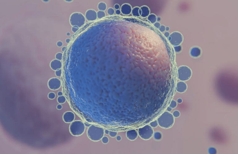 IVF Treatment with Diminished Ovarian Reserve