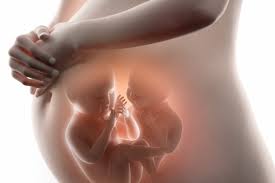 Twin Pregnancy