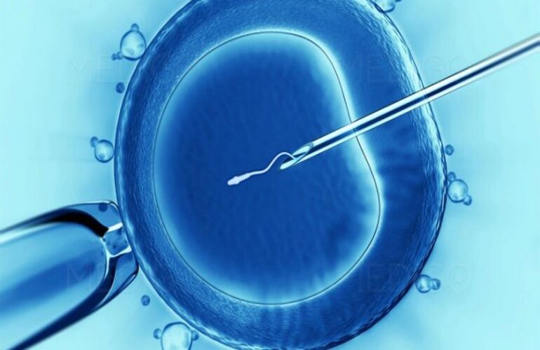 What are the Stages of IVF Treatment