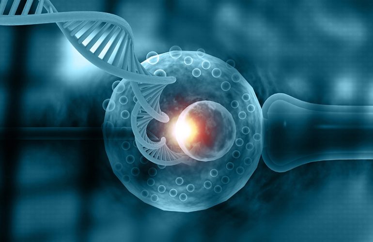 Does IVF Prevent Genetic Diseases